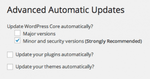 Automatic WordPress Updates: How To Turn Them On Or Off And Decide ...