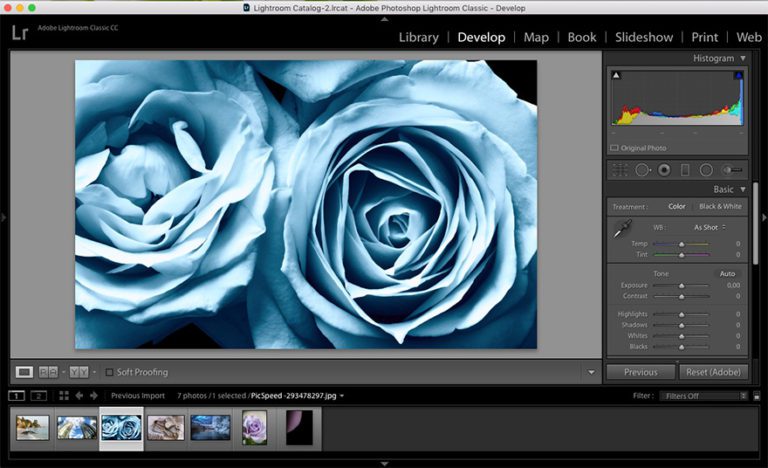 Lightroom Vs Photoshop: Which Is The Right Tool For You?