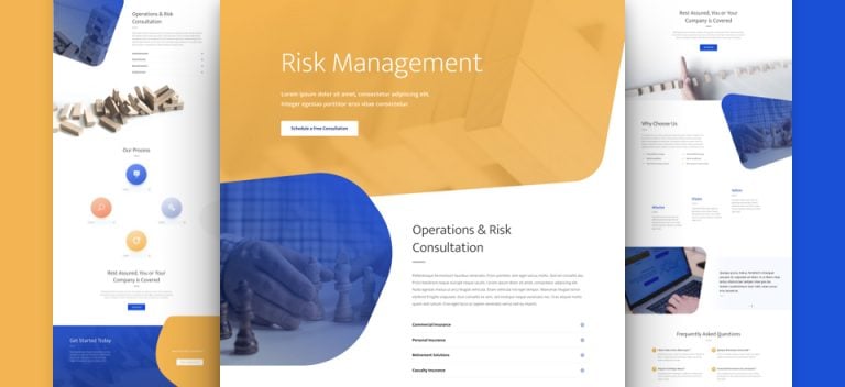 risk management