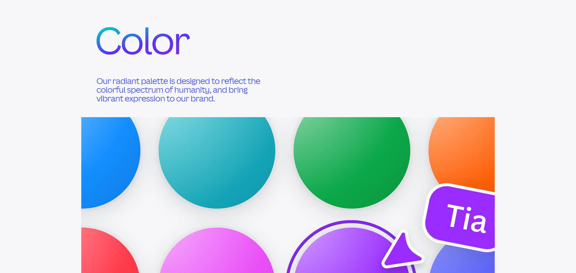 Canva's Brand Colors