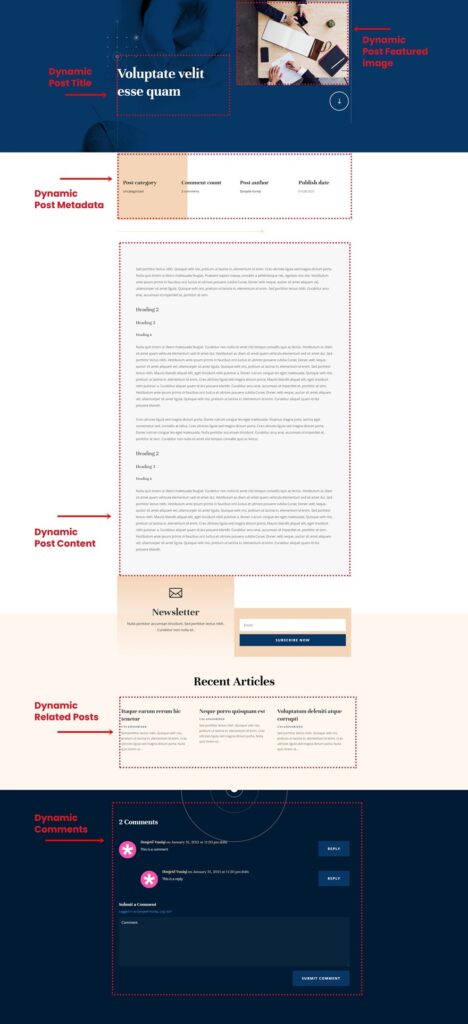 Download a FREE Blog Post Template for Divi's Acupuncture Layout Pack