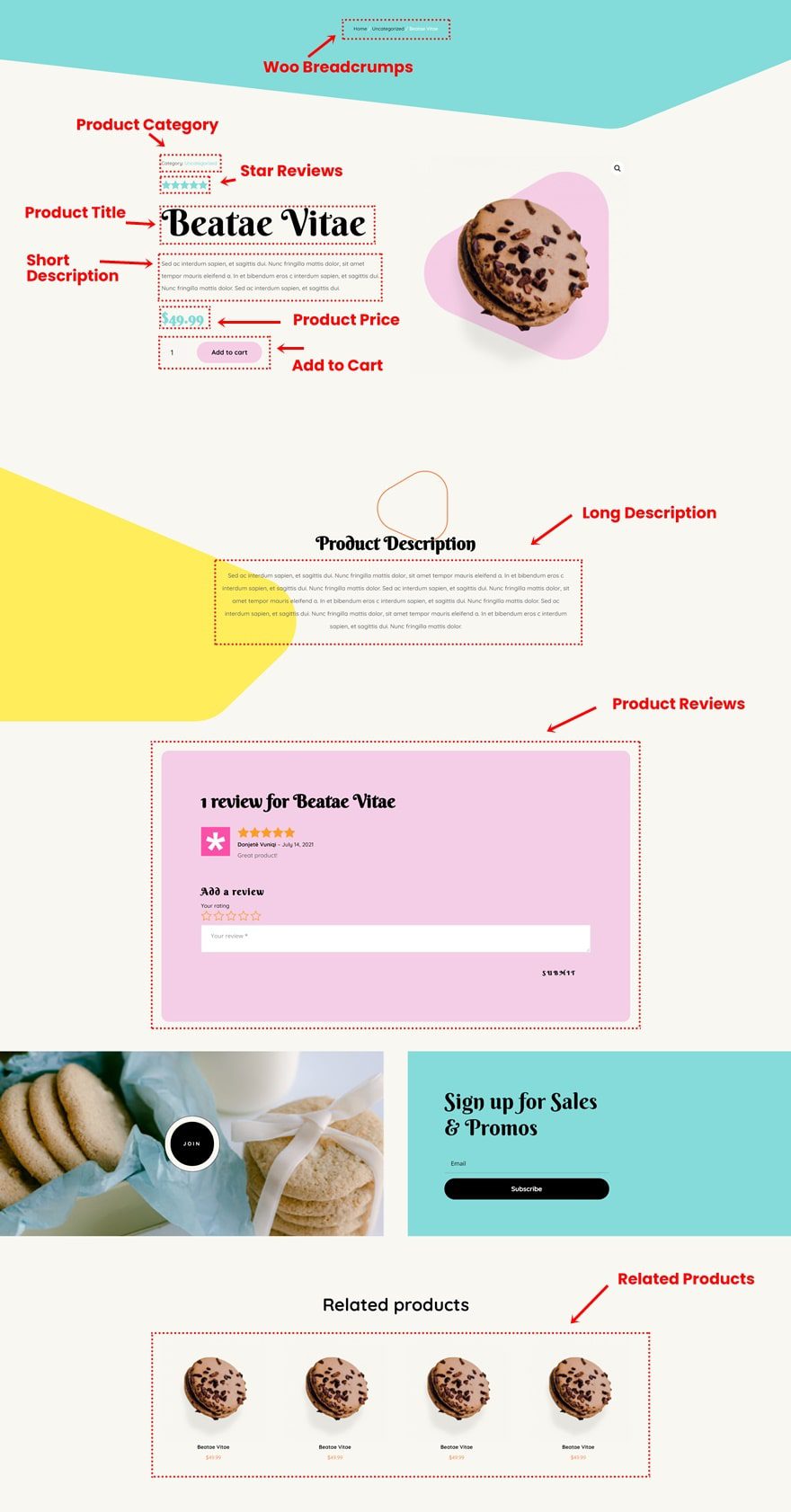 Download a FREE Product Page Template for Divi's Homemade Cookies
