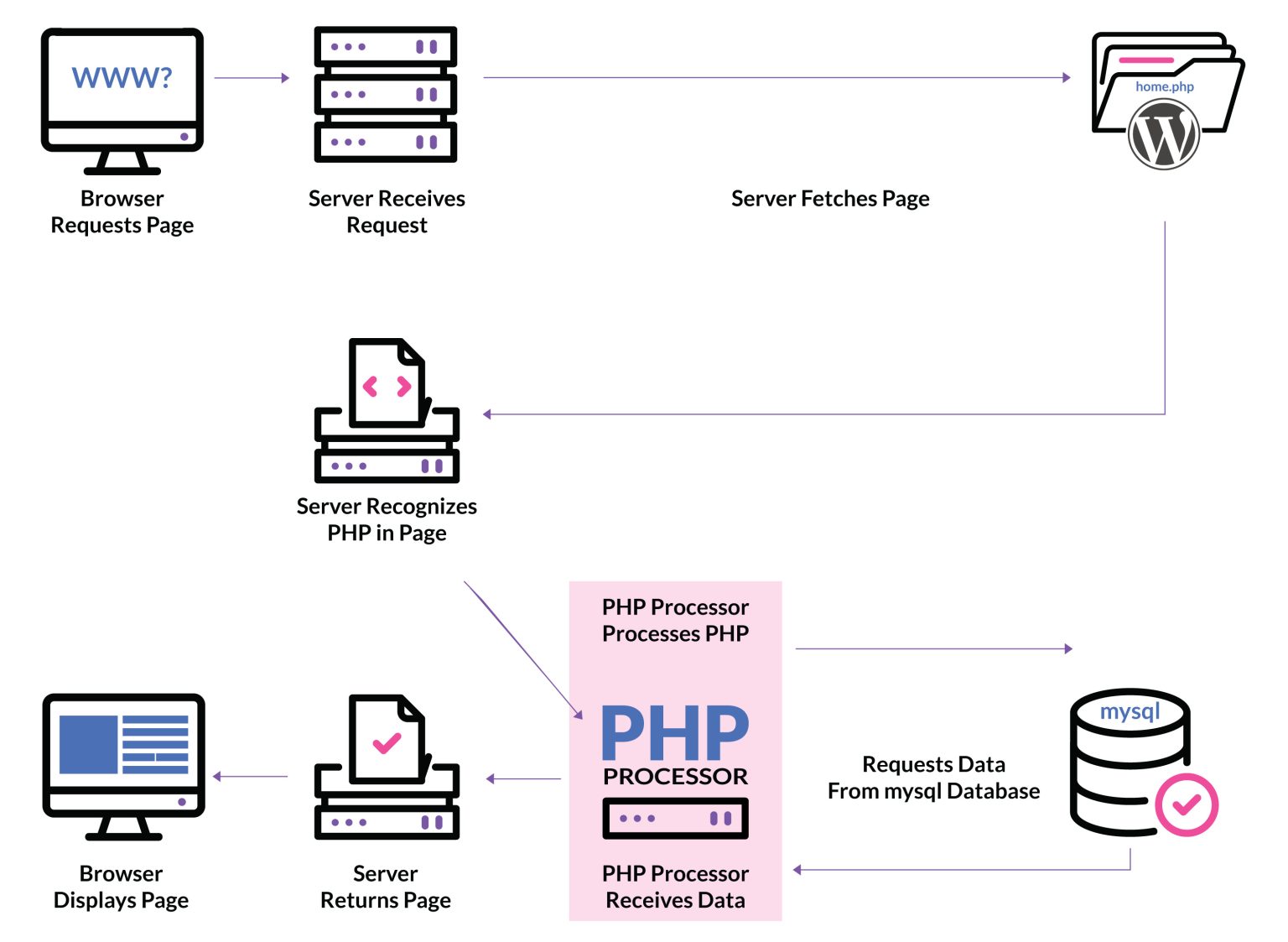 12 Best WordPress Speed Optimization Plugins In 2024 (Ranked)