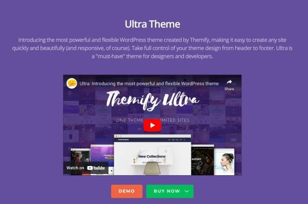 12 Best WordPress Themes In 2024 (Top Choices)