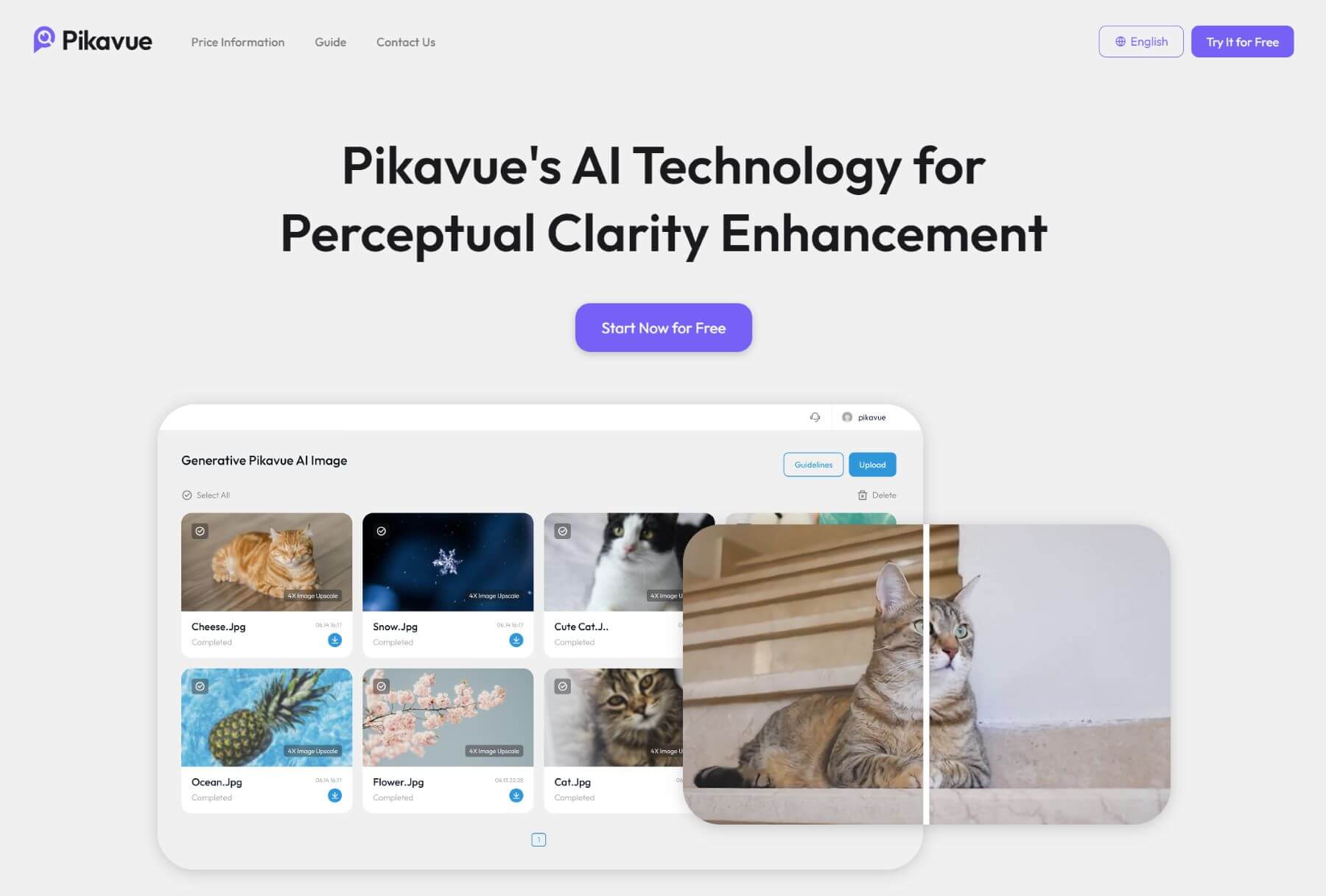 pikavue image upscaler homepage