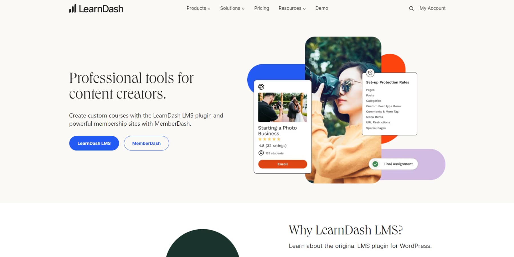 A screenshot of LearnDash's homepage