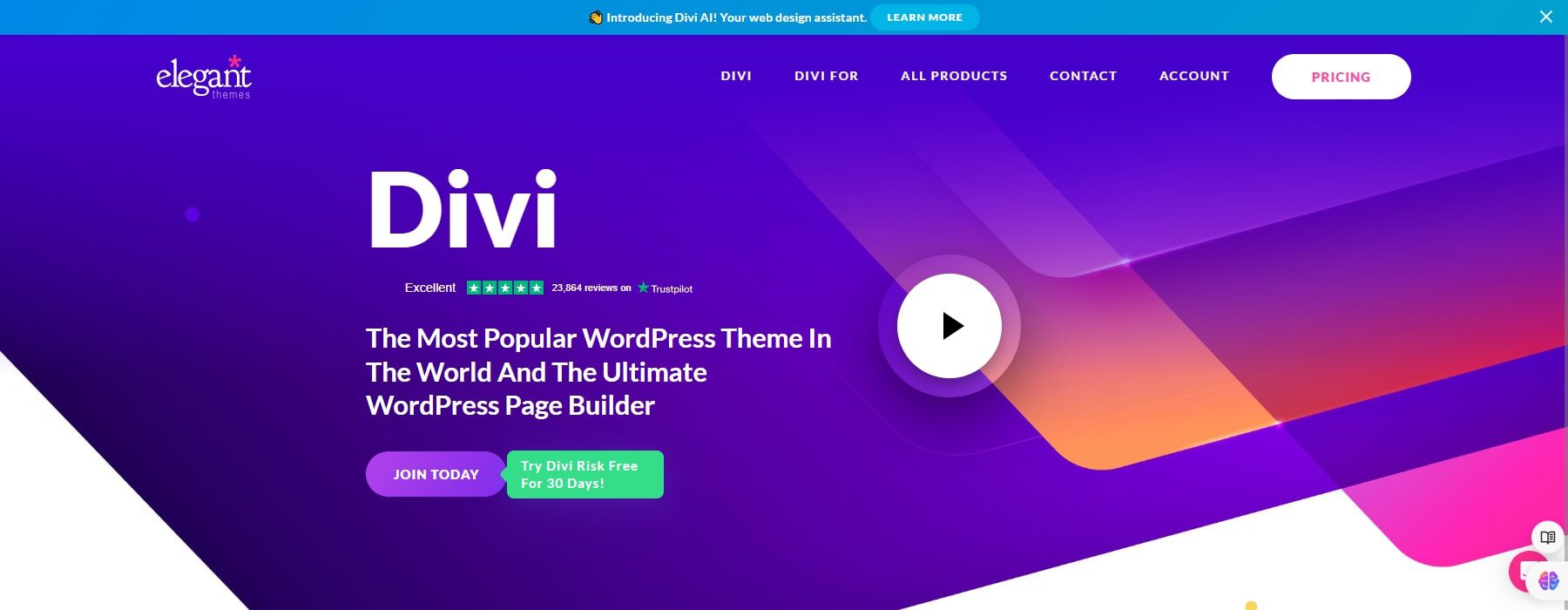 elegant themes divi developer websites