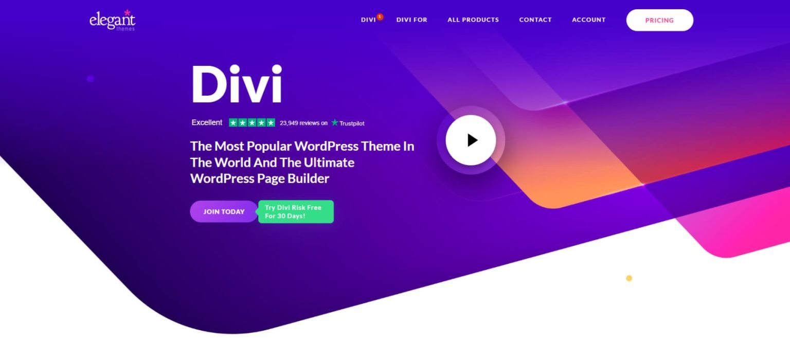 divi homepage