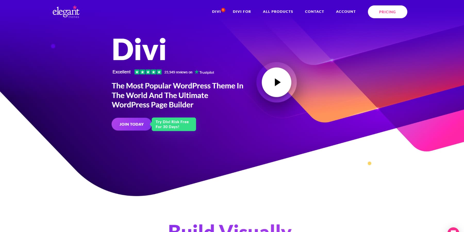 A screenshot of Divi's homepage