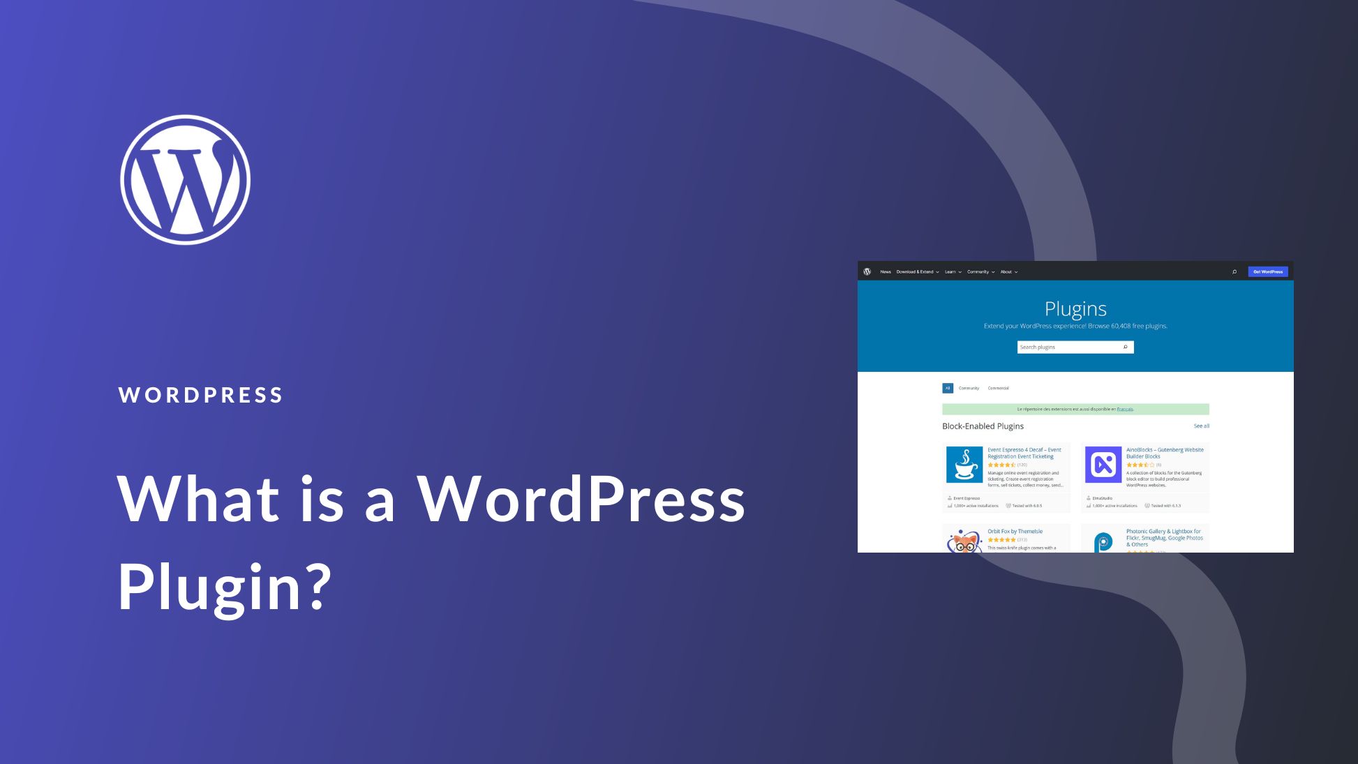 What is a WordPress Plugin? A Beginner’s Guide for 2024