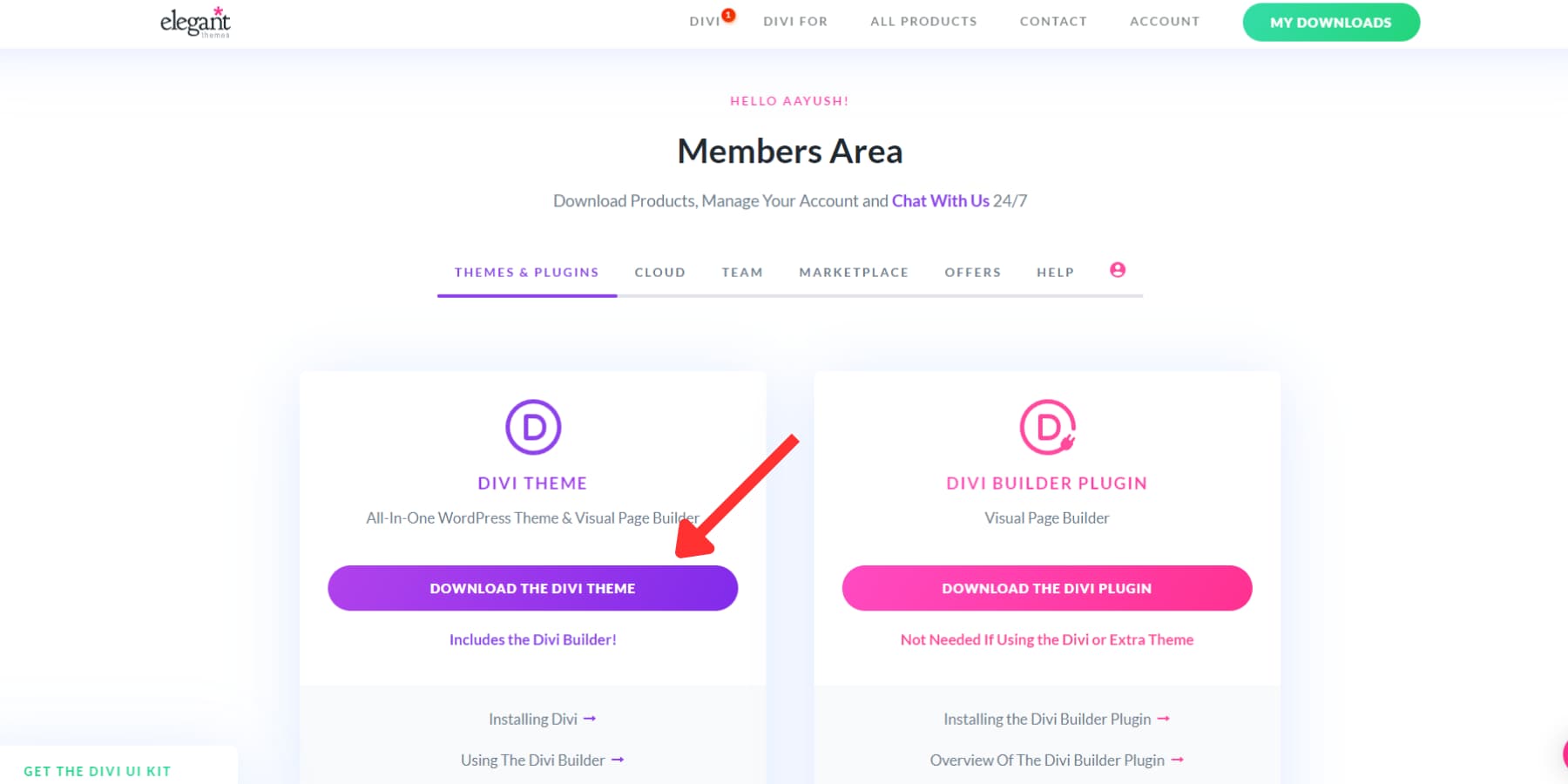 A screenshot of Divi's members area