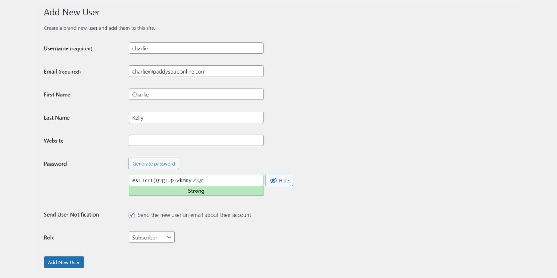 A screenshot of the user fields to fill