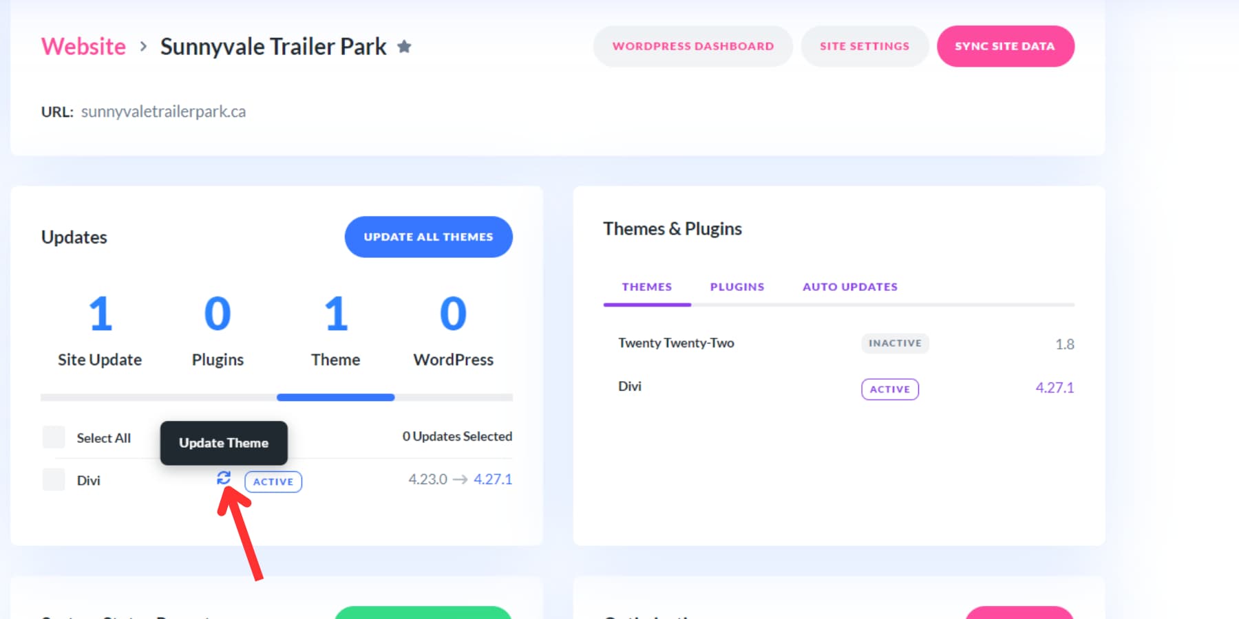 A screenshot of update theme button on Divi Dash