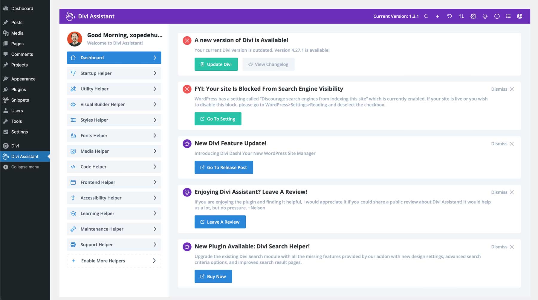 Divi Assistant interface