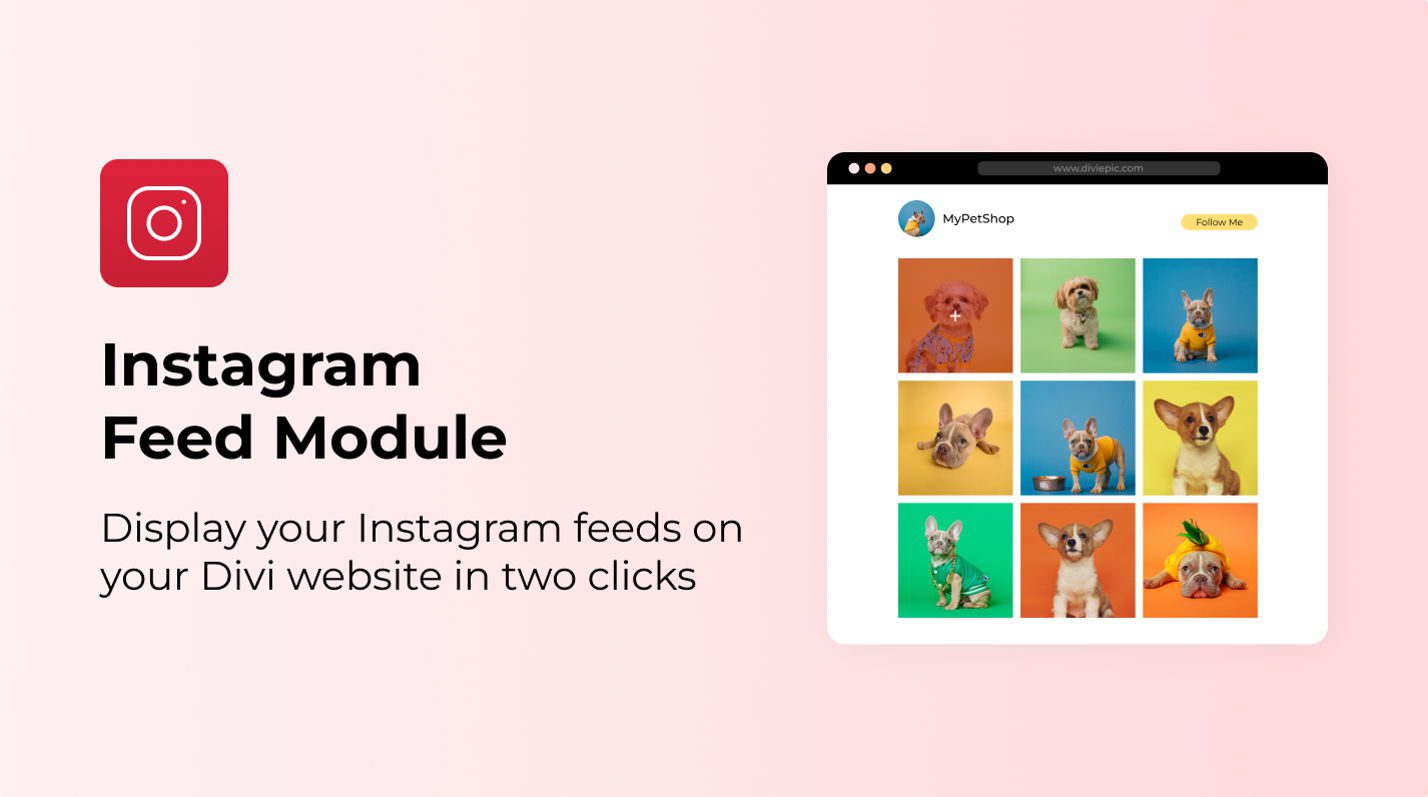 Divi Instagram Feed Extension