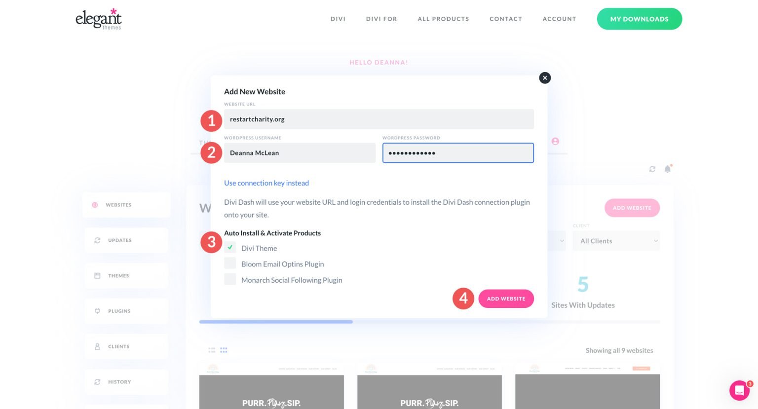 Divi Dash Website Details