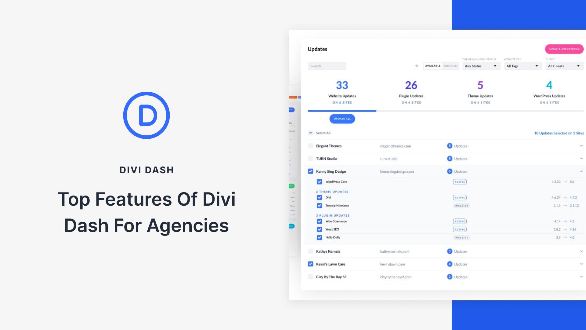 Top Features Of Divi Dash For Busy WordPress Agencies