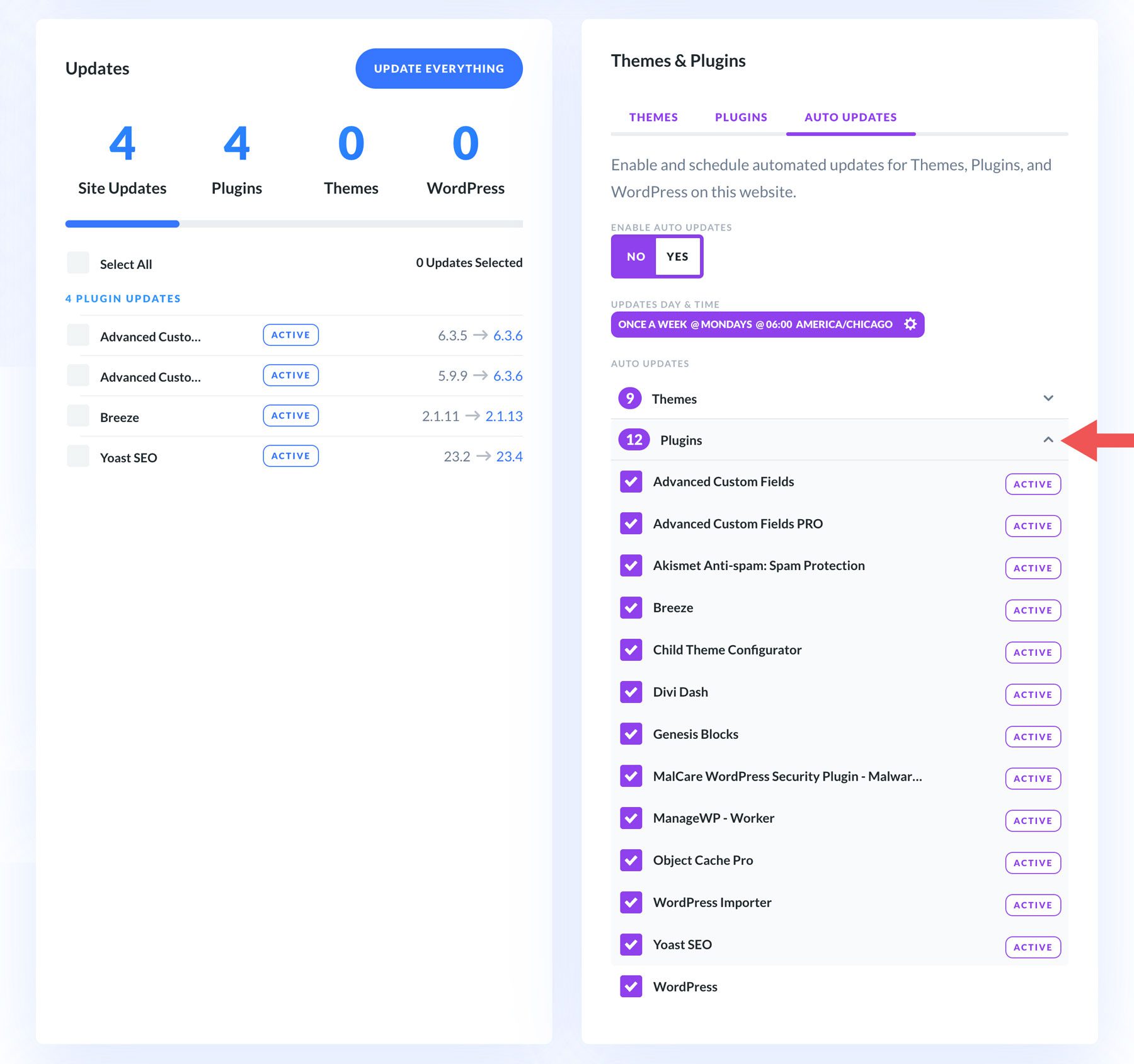 enable auto updates on WordPress