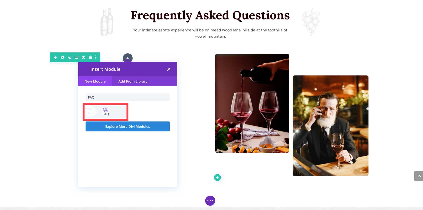 Divi Flash FAQ module