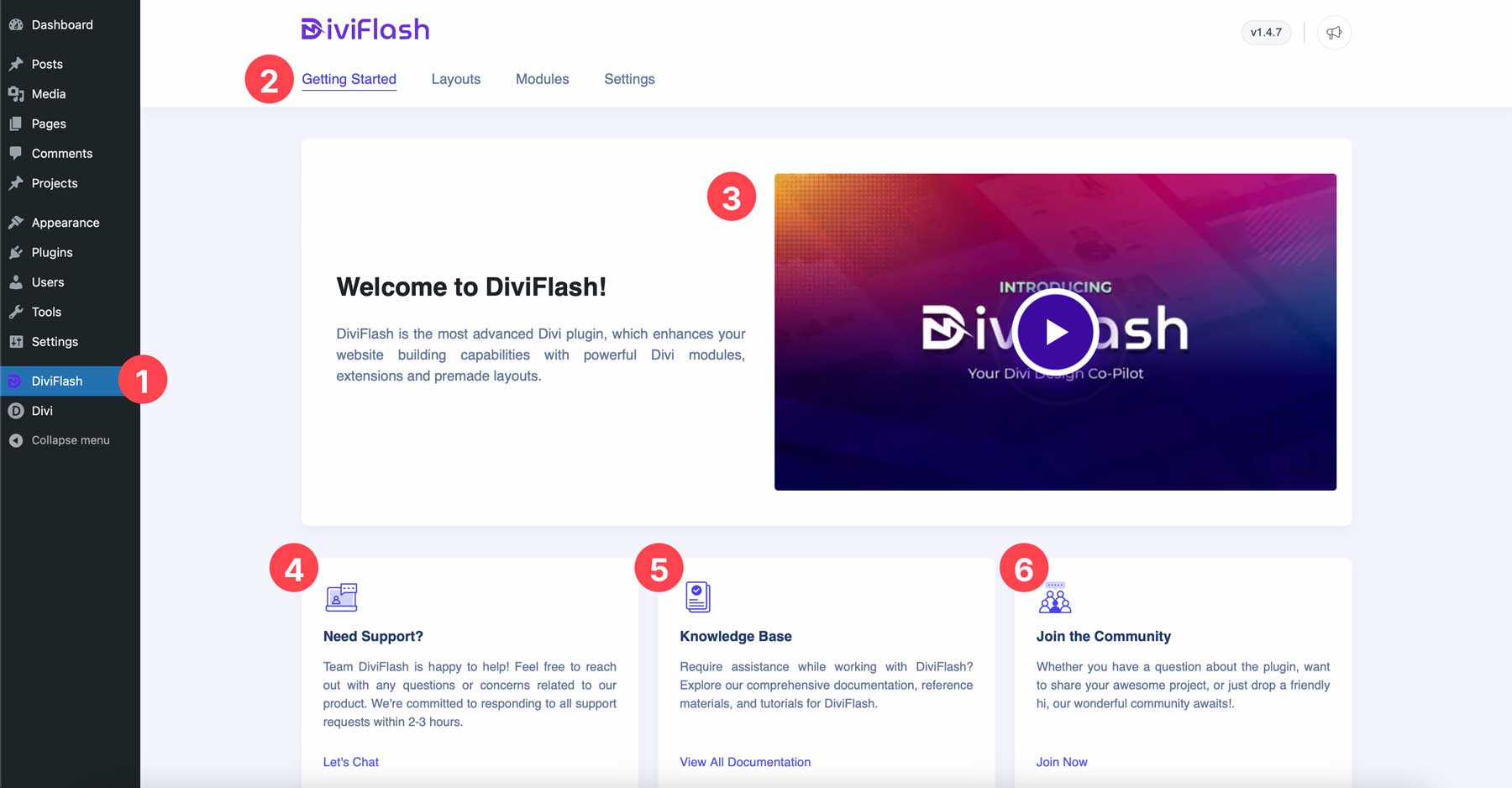 Divi Flash dashboard