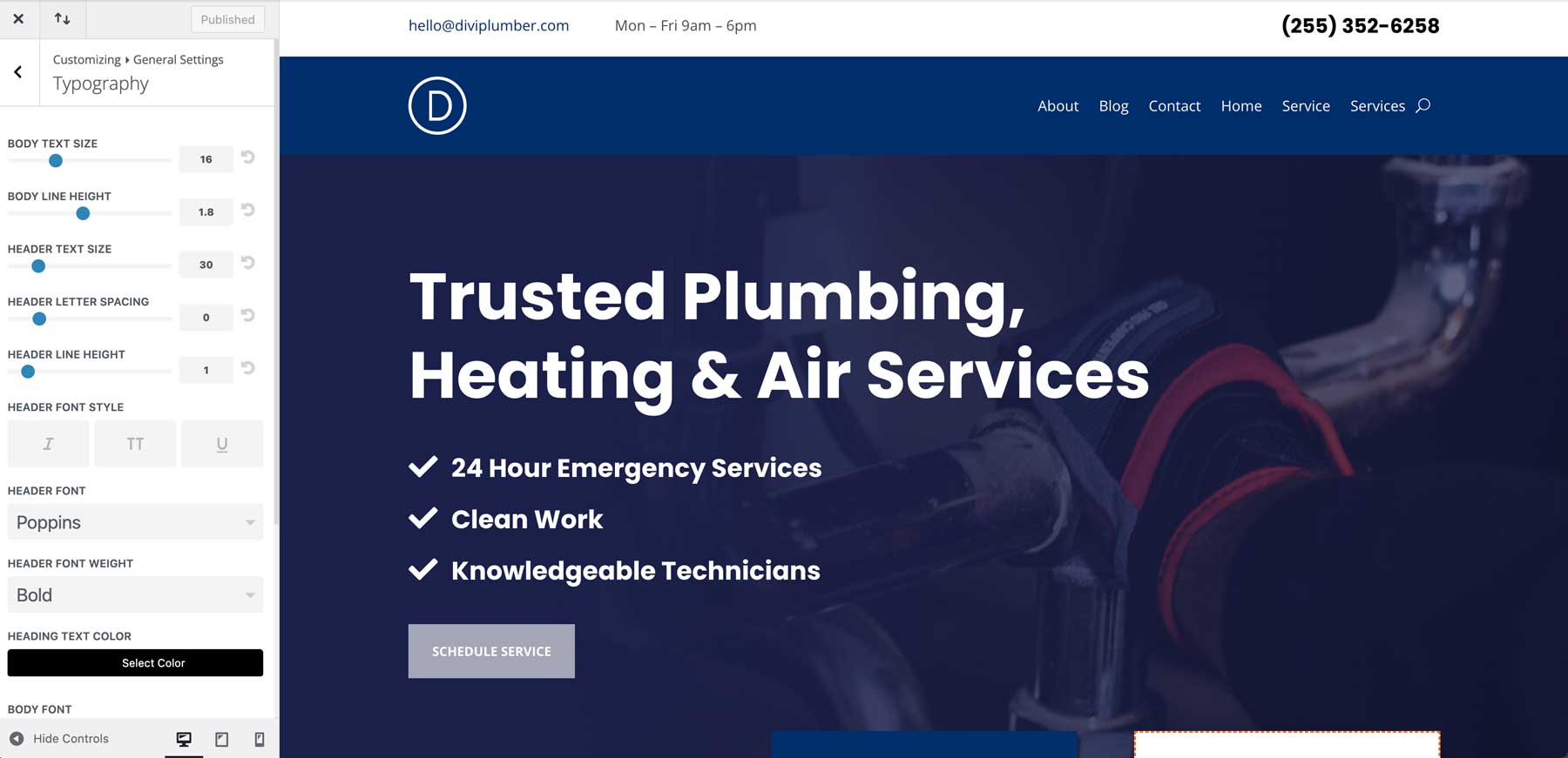 plumber starter site for divi