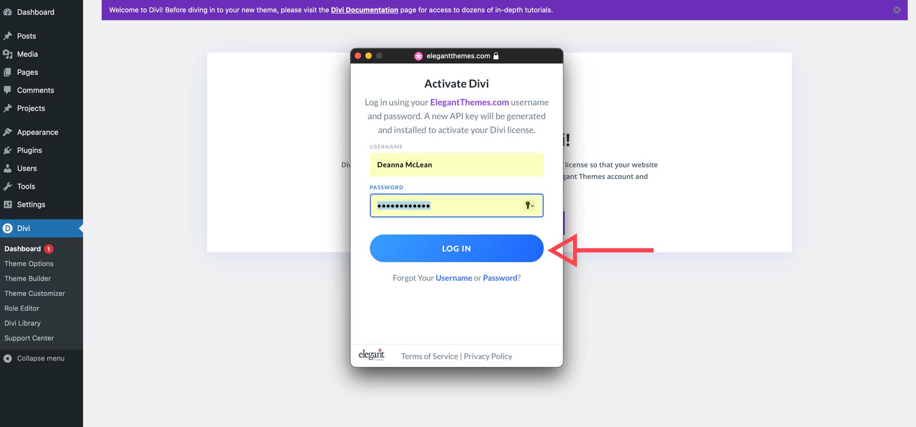 log in to Divi