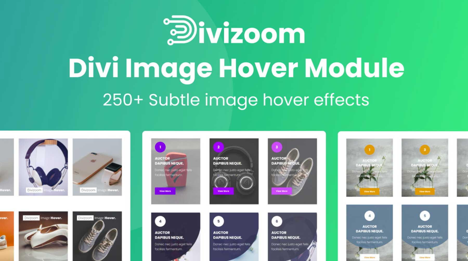 Divi Image Hover