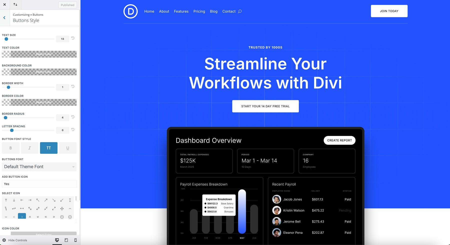 saas starter site for Divi