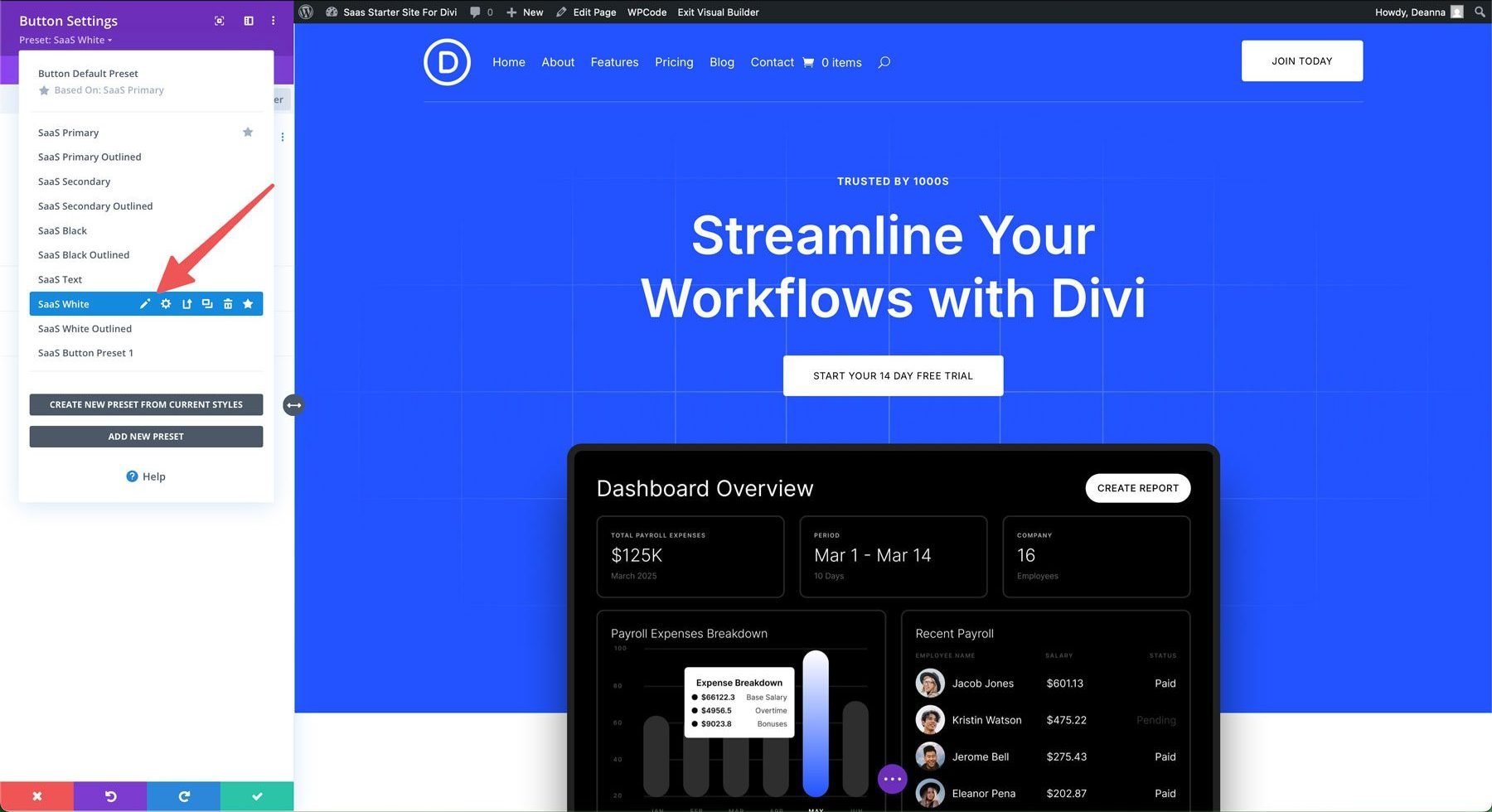 saas starter site for Divi