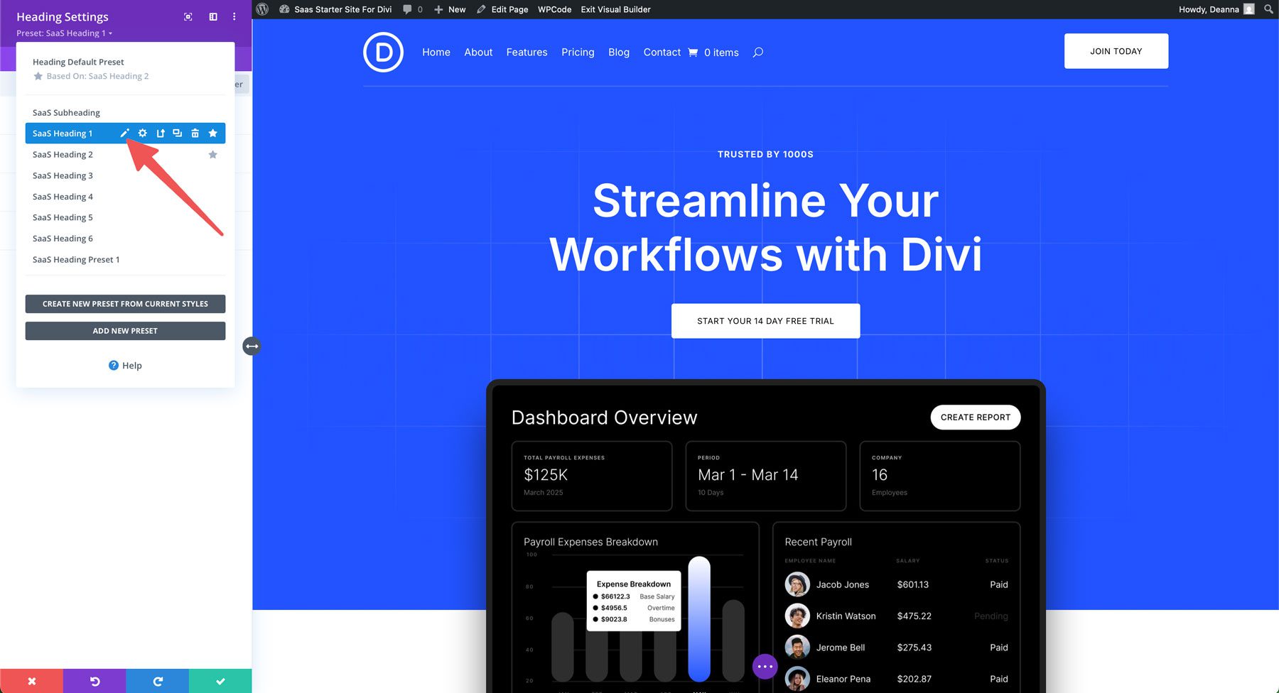 saas starter site for Divi