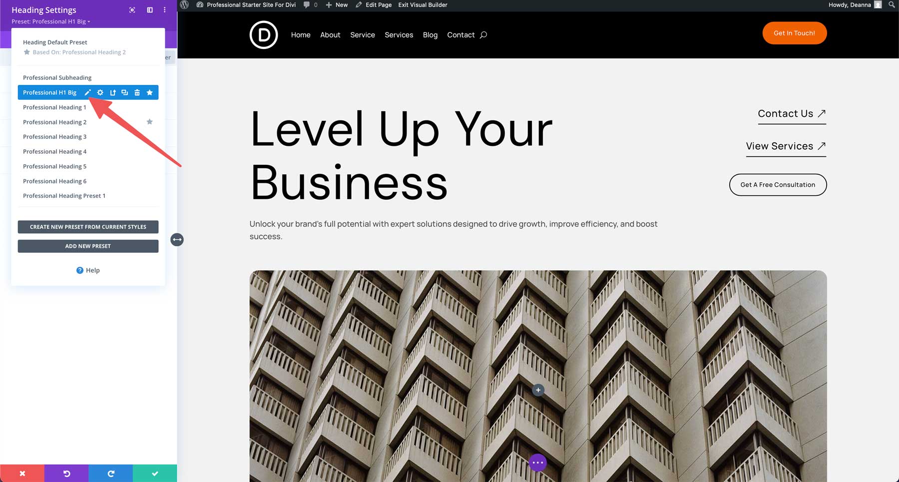 professional starter site for Divi