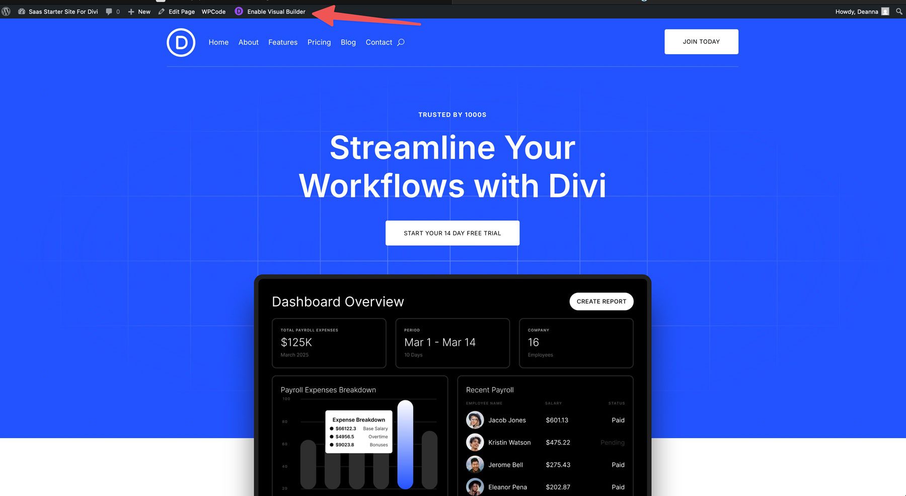 saas starter site for Divi