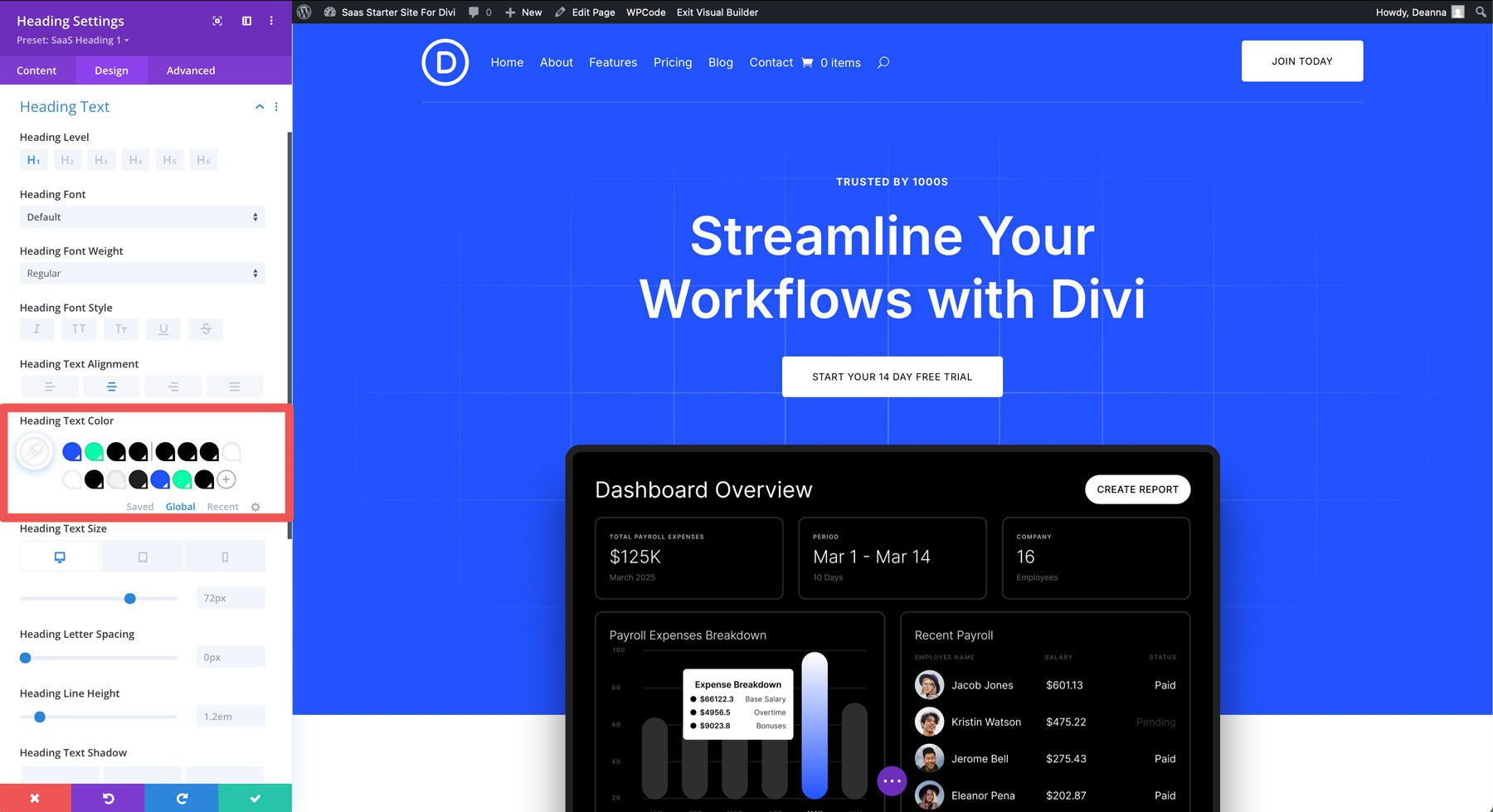 saas starter site for Divi