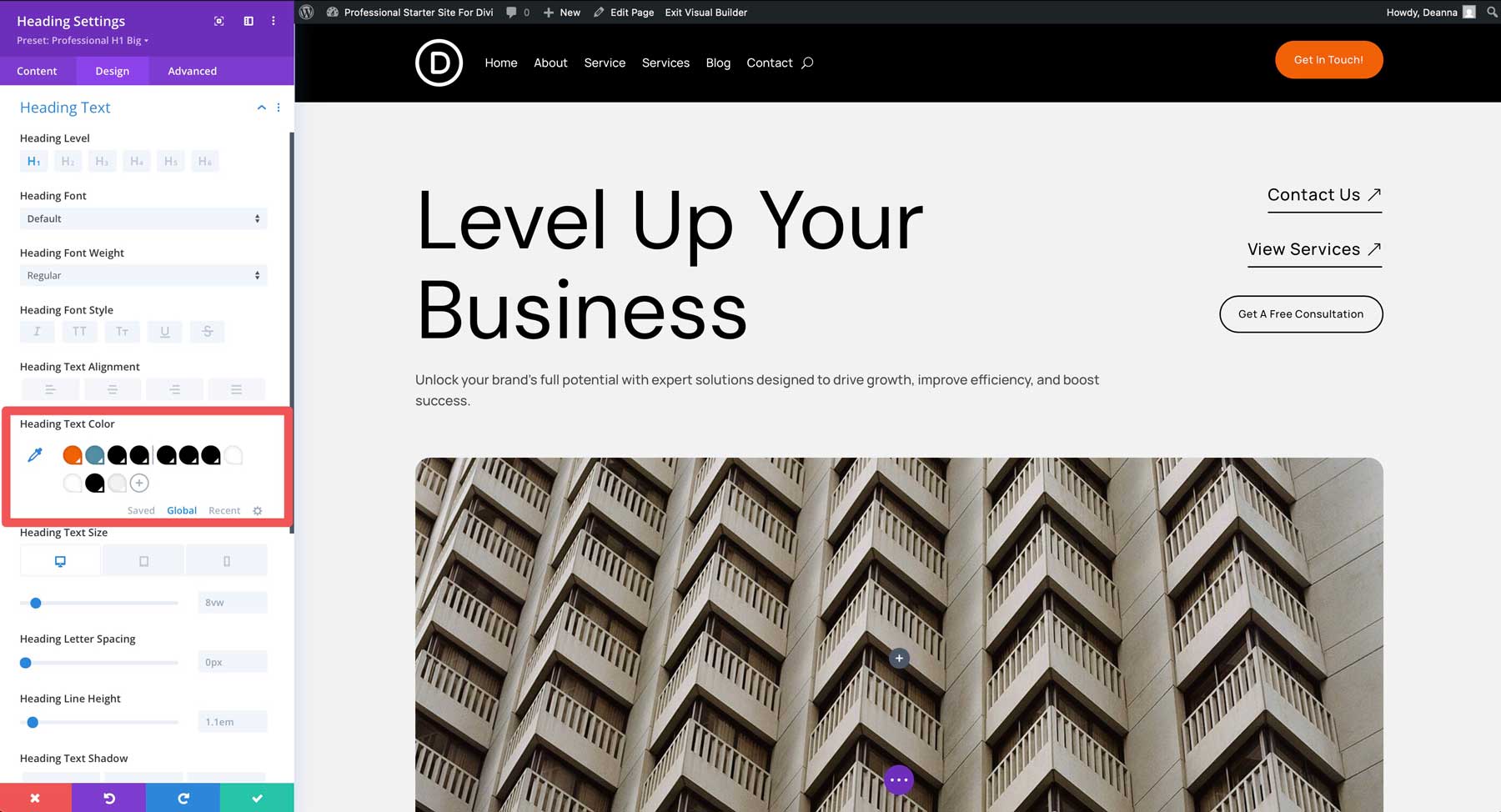 professional starter site for Divi