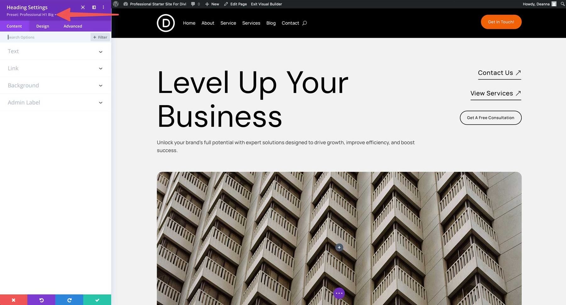 professional starter site for Divi