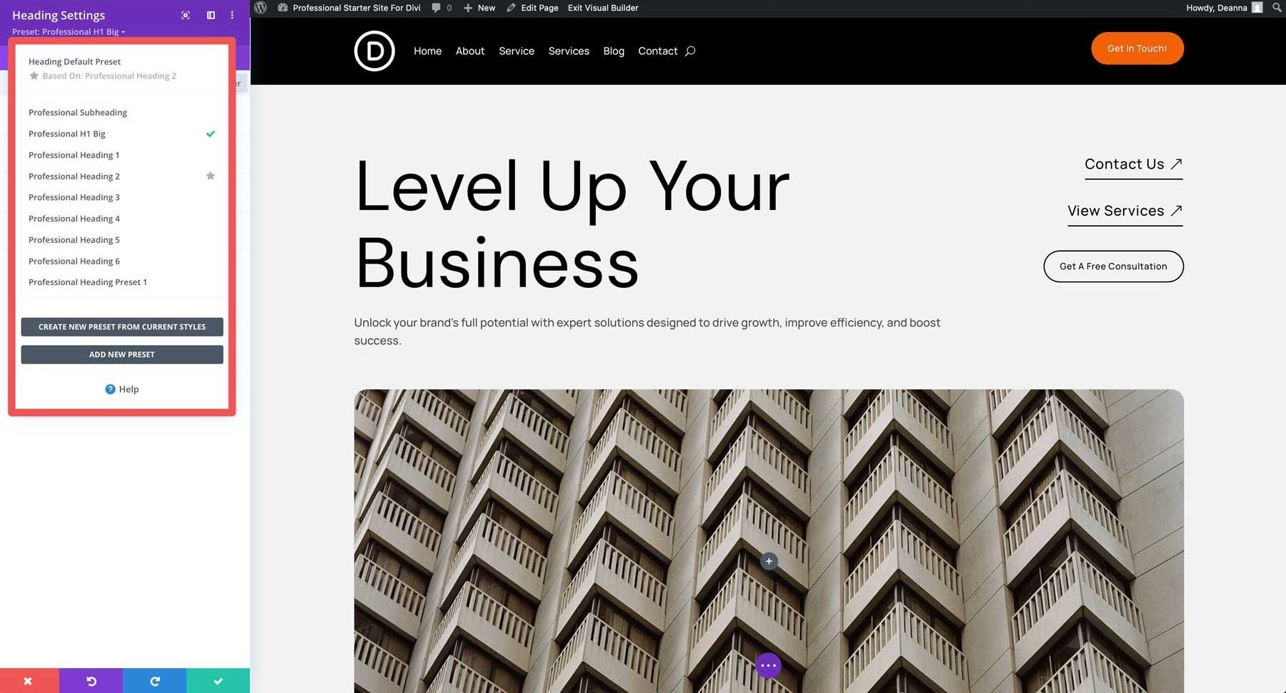 professional starter site for Divi