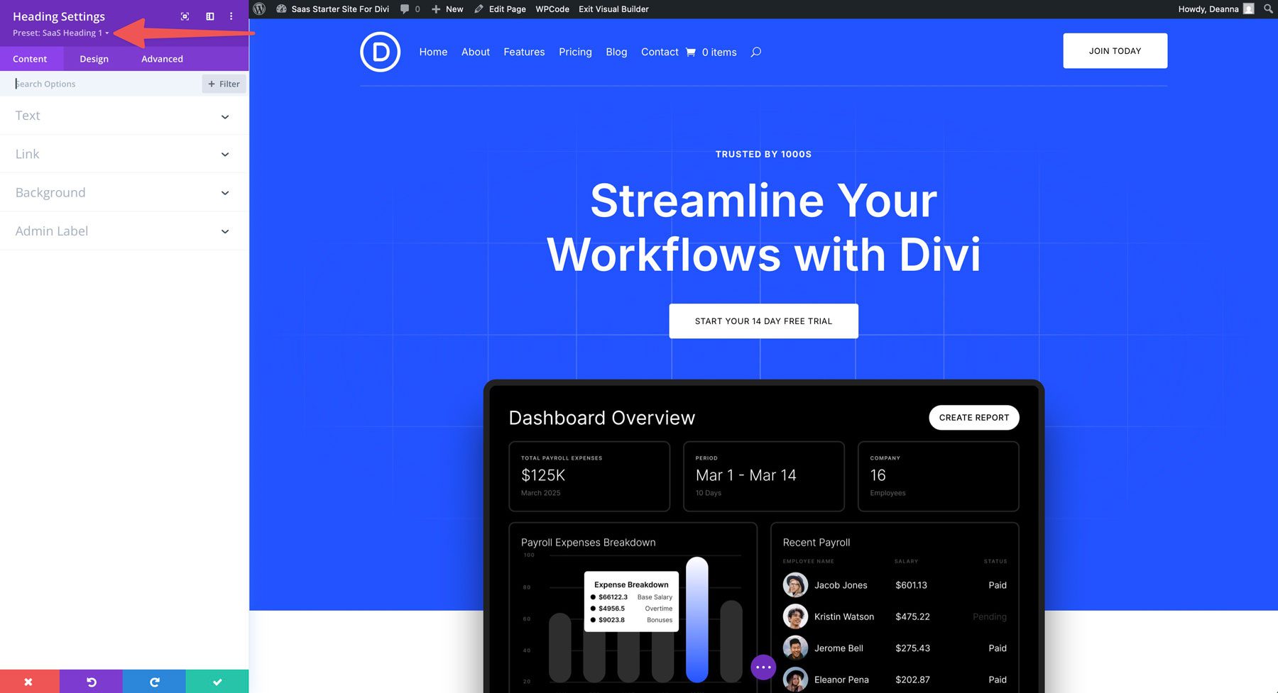 saas starter site for Divi