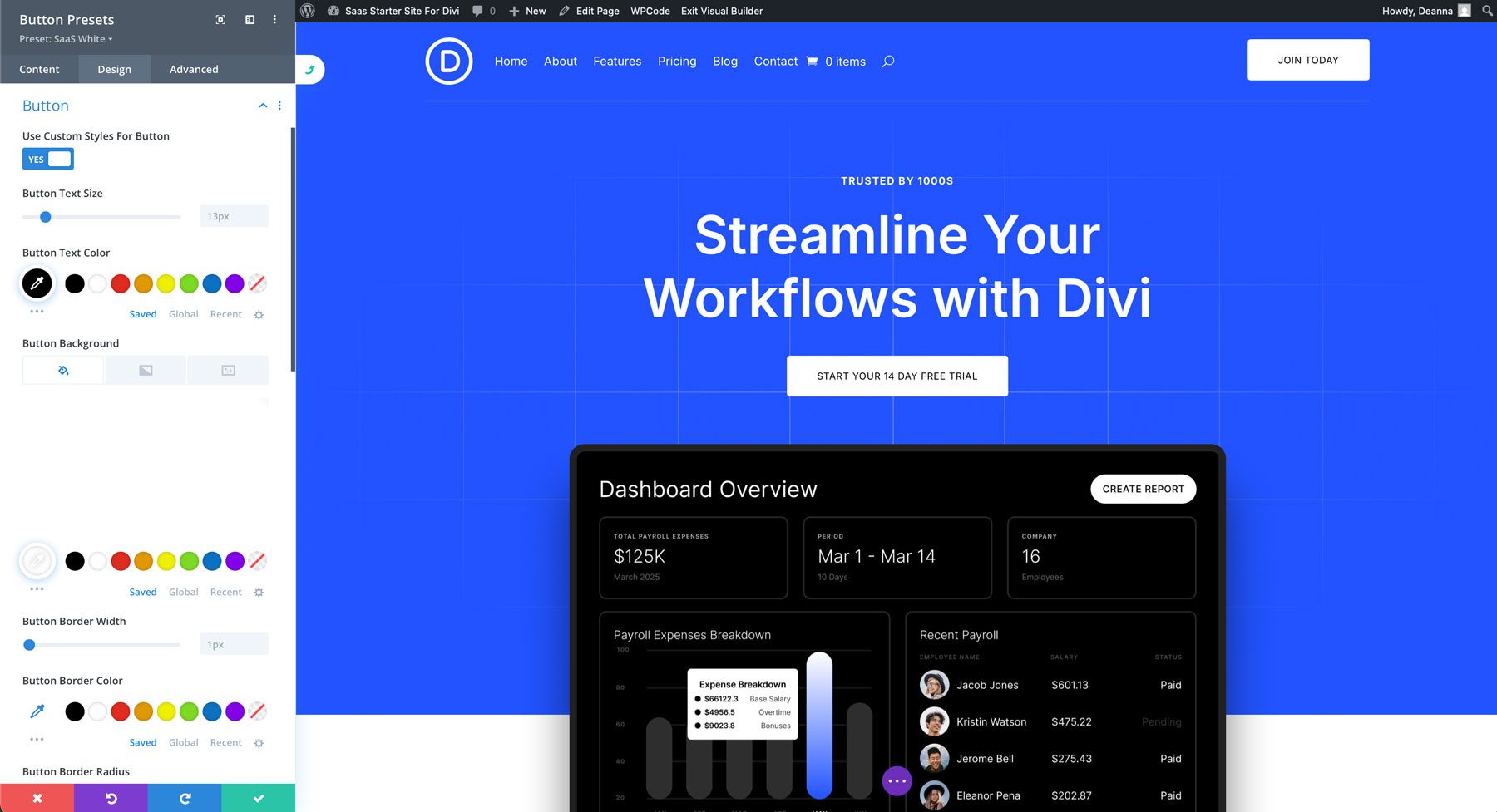 saas starter site for Divi