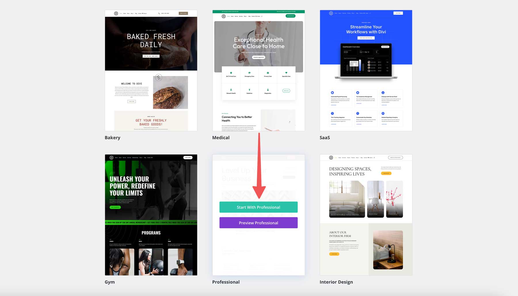 professional starter site for Divi