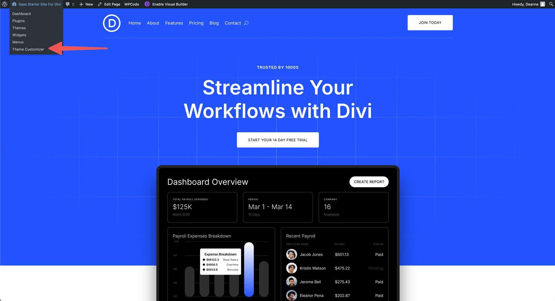 saas starter site for Divi