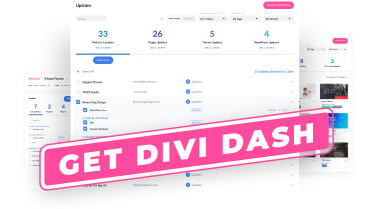 Get Divi Dash Today